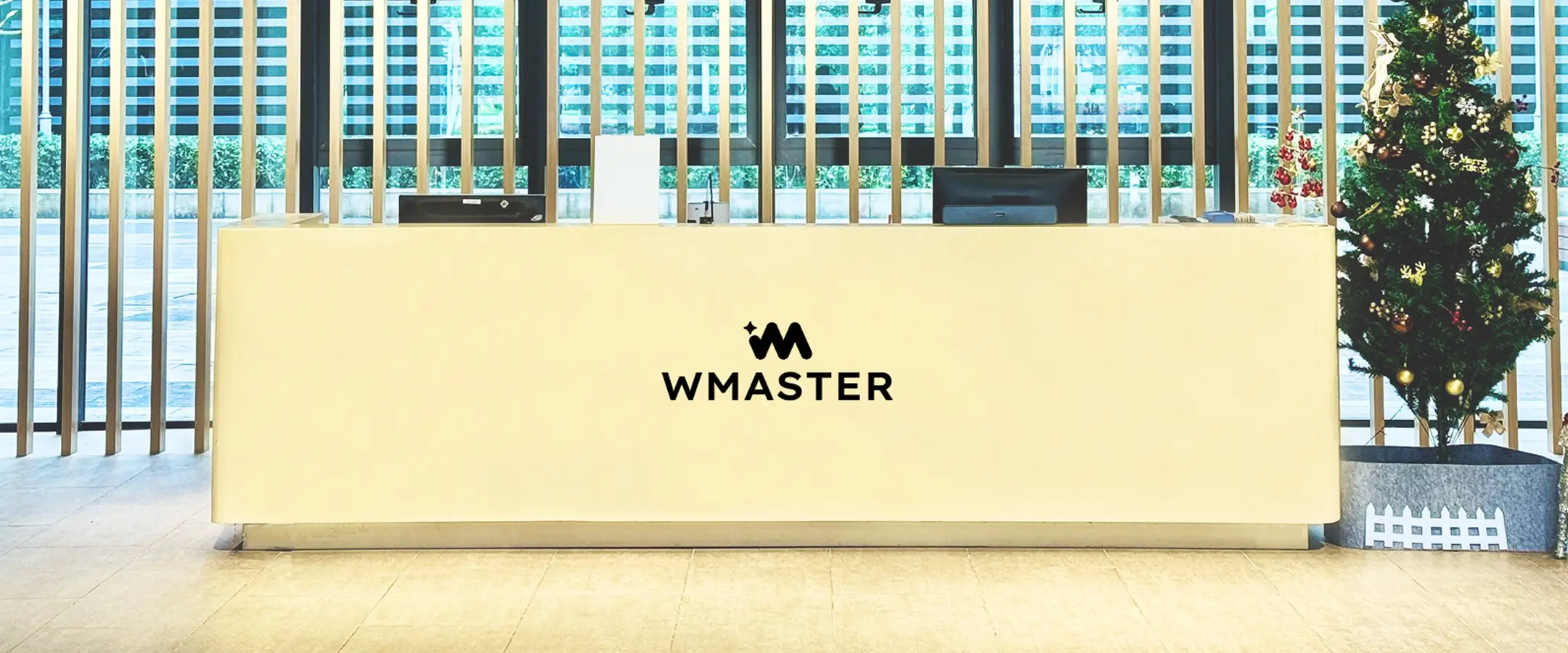 About WMaster Cleanup Creative Image