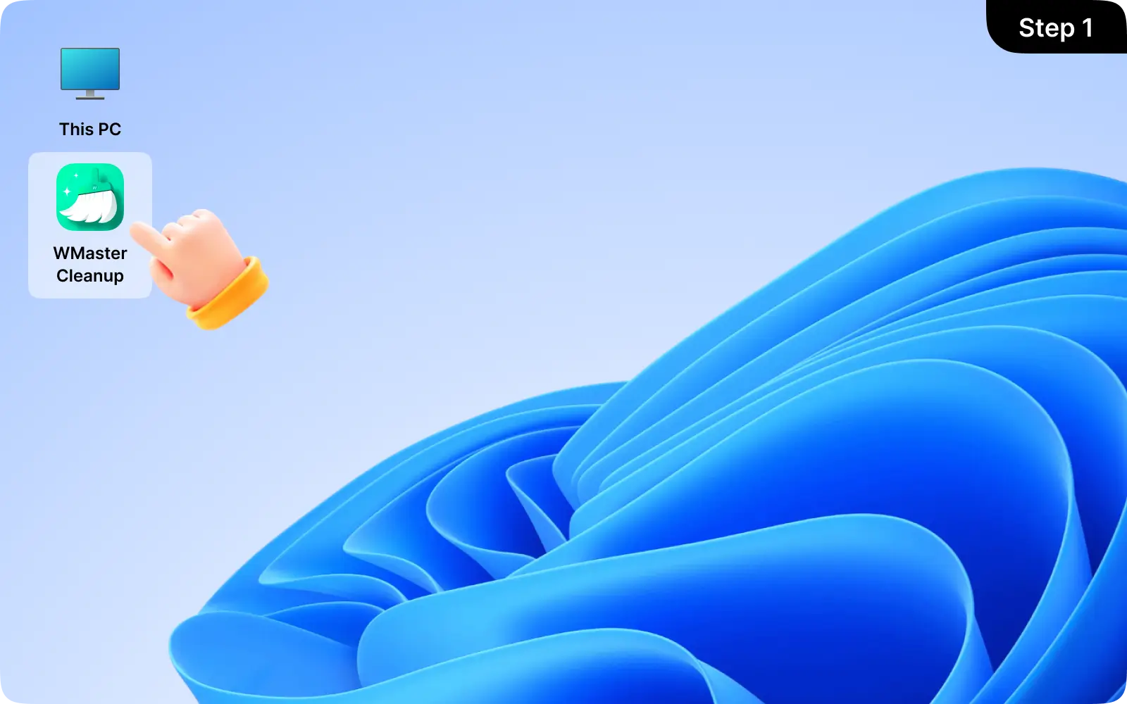 Install and Launch WMaster Cleanup