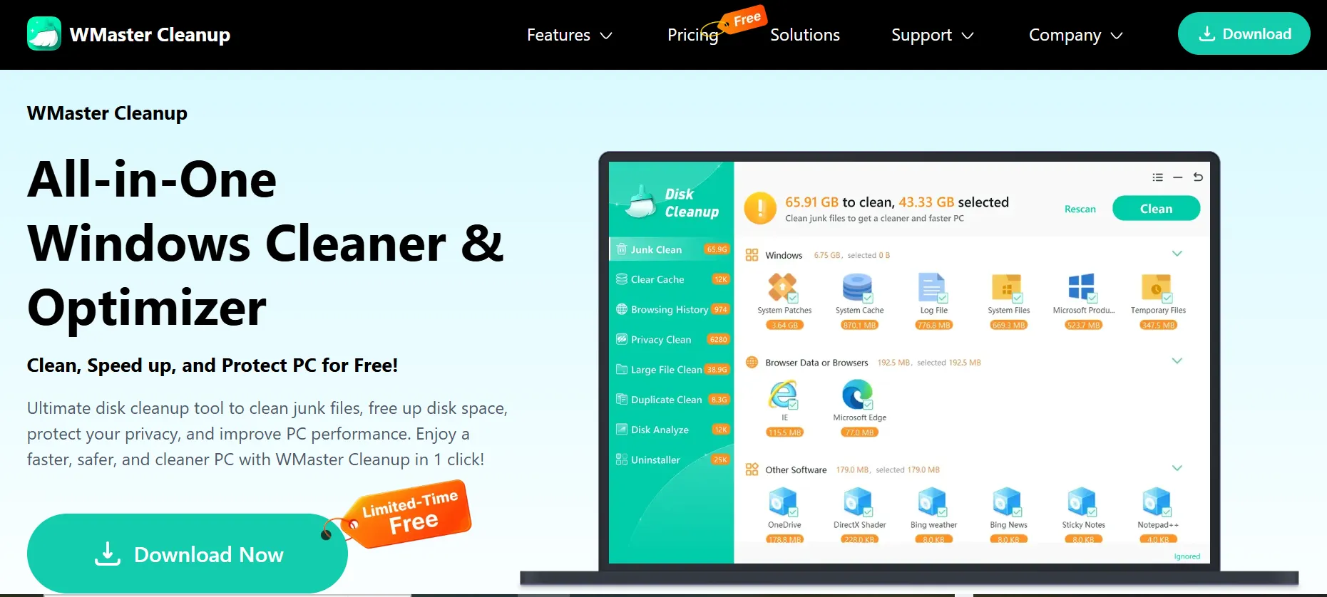 WMaster Cleanup website showing the Download Now button.