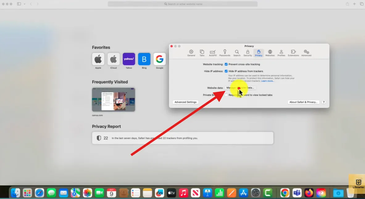 Go to Settings to select Privacy and tap Manage Website Data.