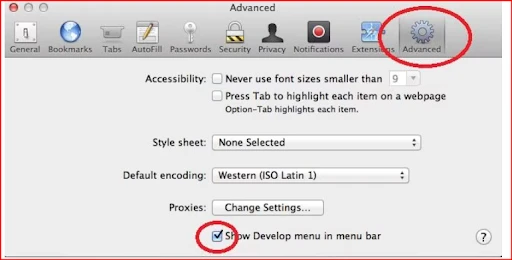 Open the advanced menu on safari.