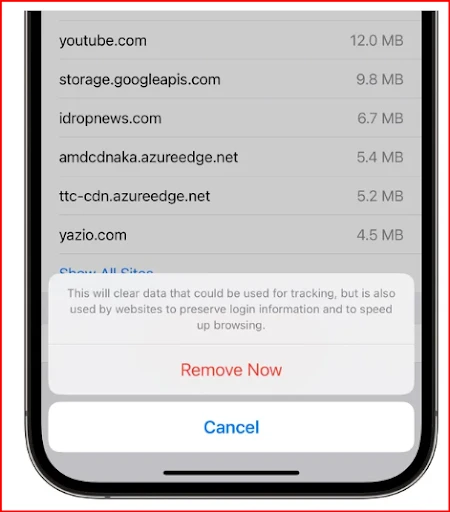 Click Remove Now to remove the web junk.