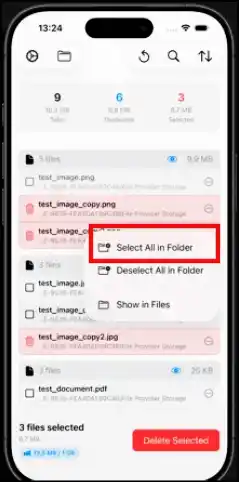 Select duplicates to delete them for a cleaner iOS device.