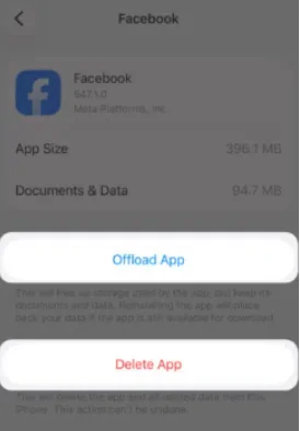Tap Delete app to remove everything.