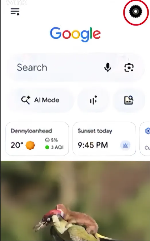 Open your Google app and click on the profile picture.