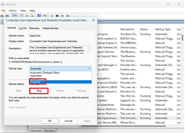 Change the startup type to disabled and click on stop.