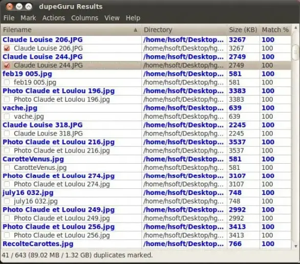 Dupeguru windows.