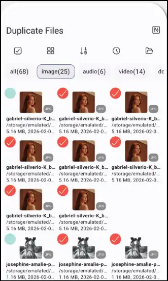 Find & Remove Duplicate Files.