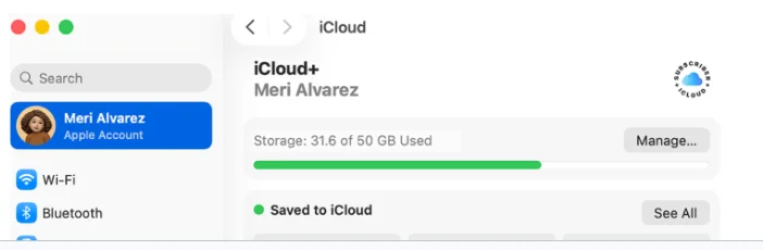 Go to iCloud from the Apple menu.