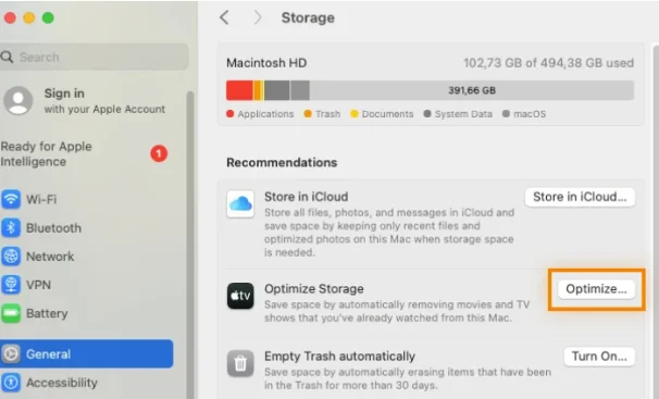 Optimize the storage to free up space on your Mac.