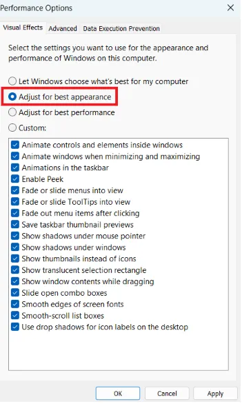 Change to adjust for best performance and click OK.
