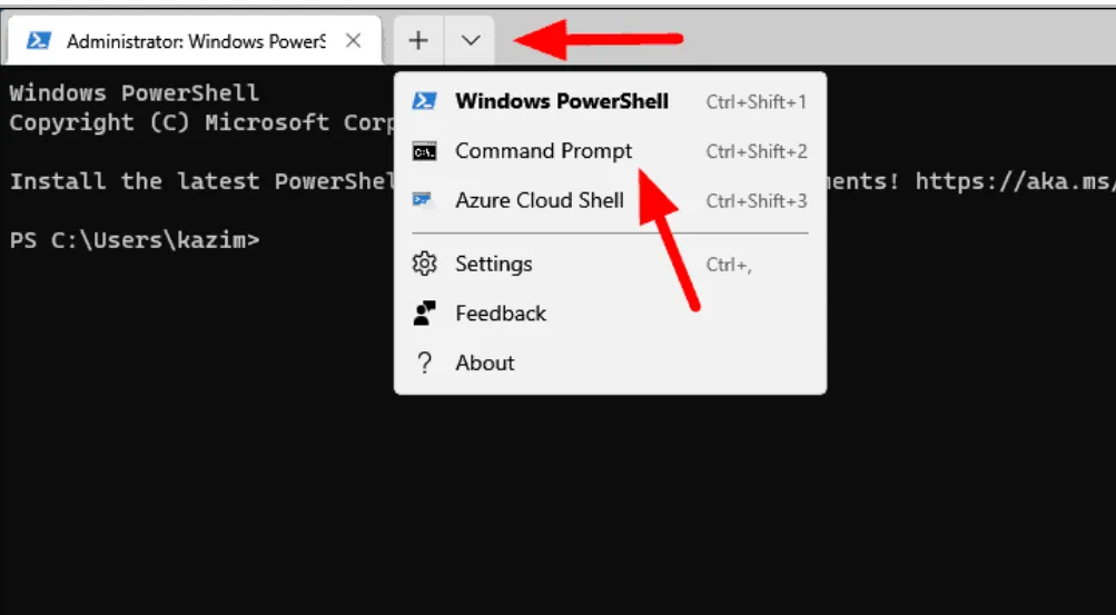 Command Prompt Opened as administrator in Windows 11.