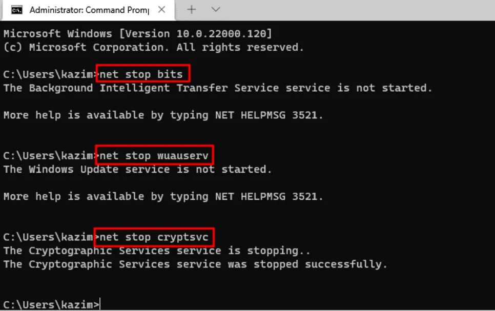Windows Update components reset commands running in Command Prompt on Windows 11.