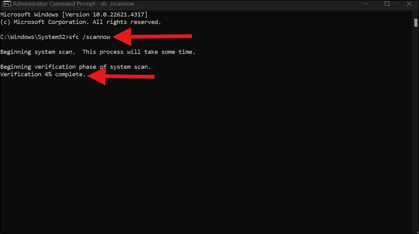 Type command and wait to complete the scanning process.