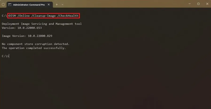 DISM CheckHealth command running in Windows 11 Command Prompt.