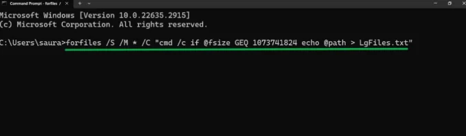 Paste the command to check all the large files.