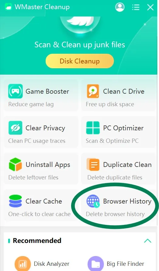 Download WMaster Cleanup and open it then navigate to Browser History. 